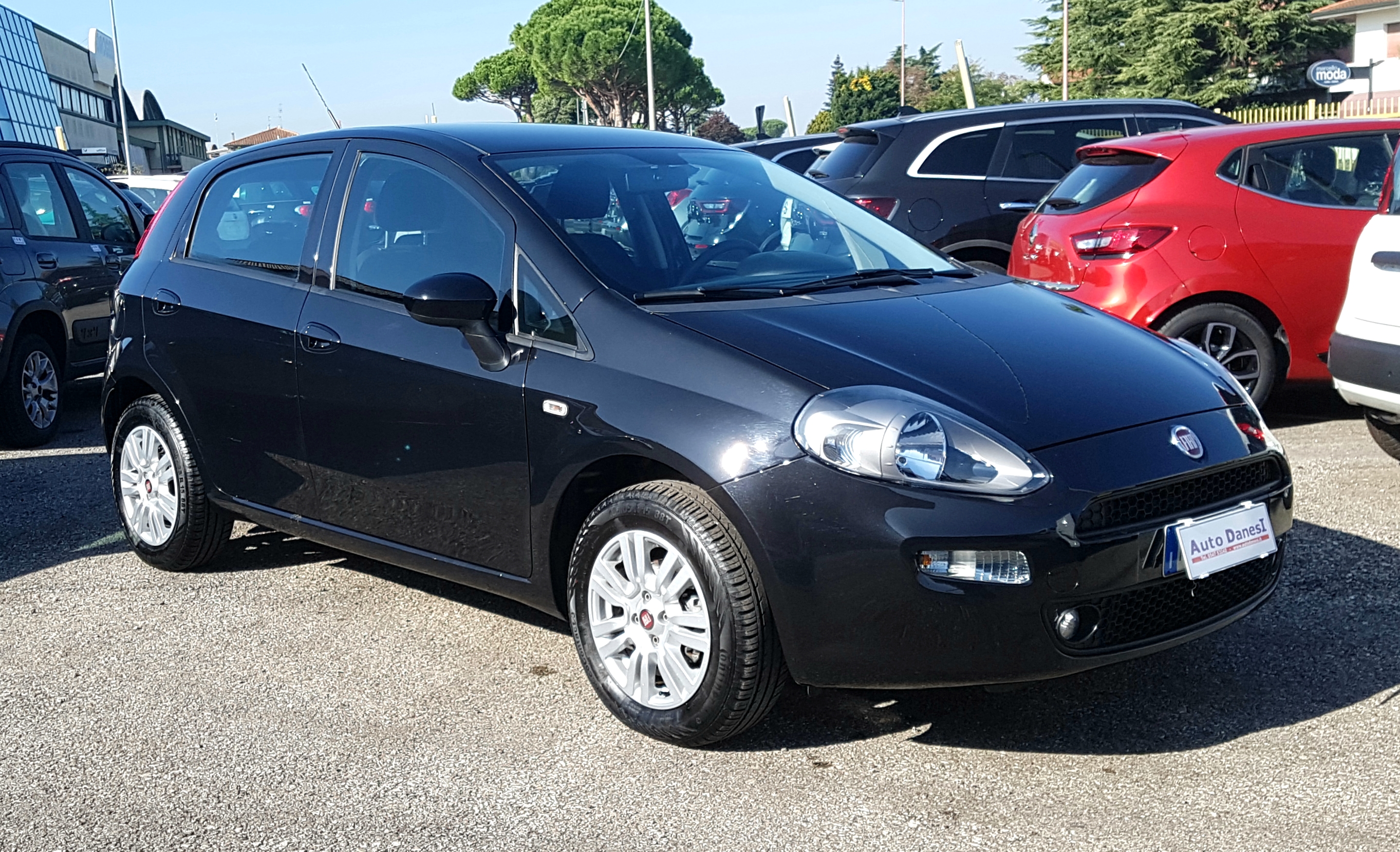 FIAT PUNTO 1.2 69 CV LOUNGE 5P E6 Autodanesi Vendita